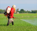 Pesticide Poisoning - Causes, Symptoms, Diagnosis and Treatment