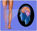 Phantom Limb Syndrome - Causes - Experiments - Treatment