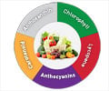 How Phytonutrients Work in the Body How Phytonutrients Work in the Body