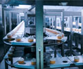 Processed  Foods - Convenience foods