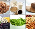 Protein Power of Vegan Diet | Vegan Diets are Rich in Proteins