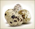 Quail Eggs and its Amazing Health Benefits