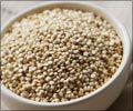Quinoa