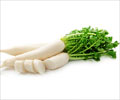 Radish - A Source of Bountiful Nutrition
