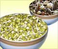 Sprouts the Super Food - "Powerhouse of Nutrients"