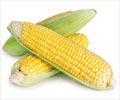 Munch On Crunchy Corn! - Benefits - Recipe