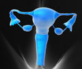 Uterus Transplantation / Womb Transplantation - Advantage and Disadvantages Uterus Transplantation / Womb Transplantation - Advantage and Disadvantages