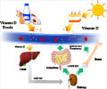 Vitamin D Deficiency - Causes, Symptoms, Diagnosis, Treatment