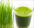 Benefits of Green Blood Therapy: Wheatgrass for Wellness