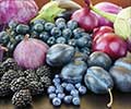 Benefits of Painting Your Meal with Blue-Purple Foods