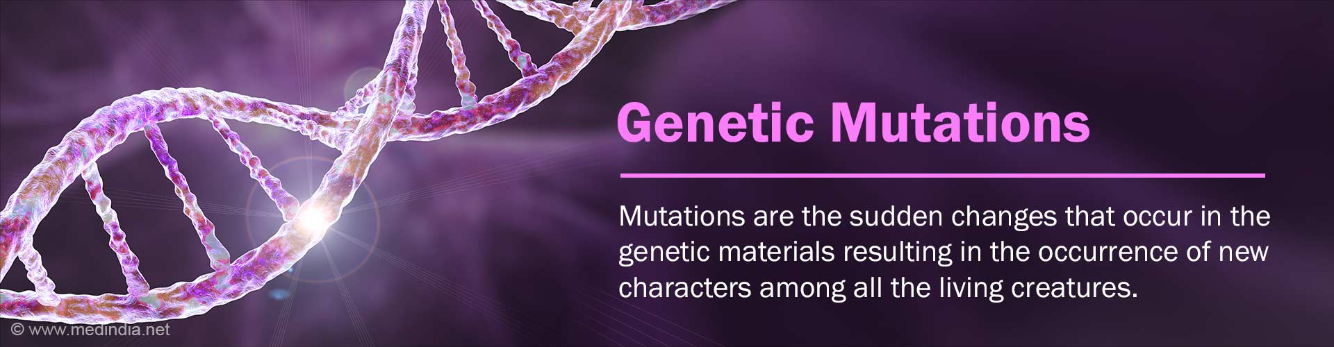 How Do Viruses Mutate and Why Does it Matter?