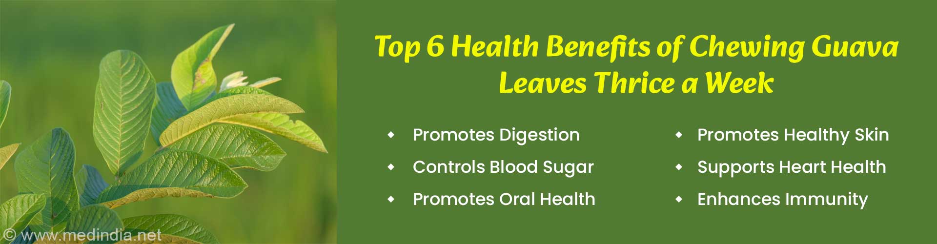 Health Benefits of Chewing Guava Leaves Thrice a Week