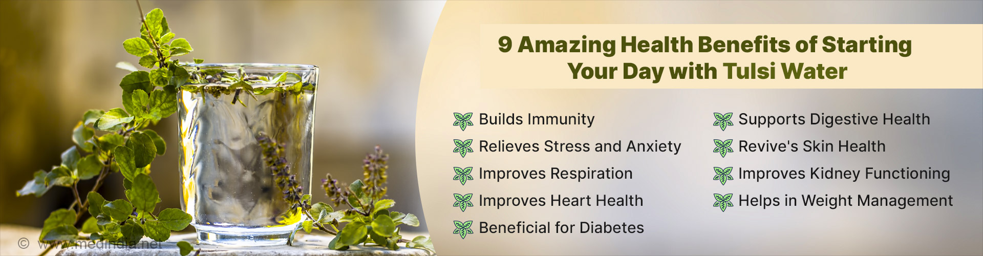 Start Your Day with Tulsi Water: 9 Reasons Why Your Body Will Thank You