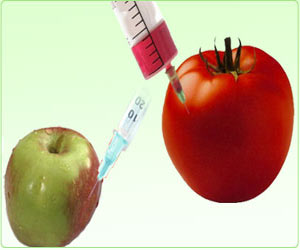 Genetically Modified Food / Genetically Modified Organism  [GMO]