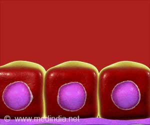 Epithelial Barrier Theory: A Comprehensive Look at its Associated Conditions