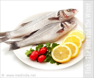 Fish: The Best and The Worst