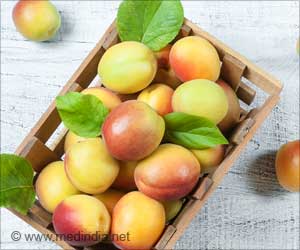 Health Benefits of Apricot - Nutrition Values, Recipes
