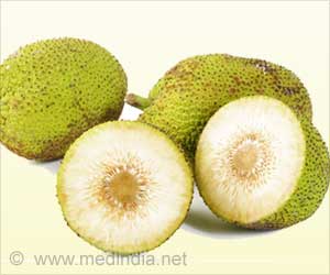 Health Benefits of Breadfruit
