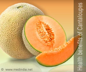 Cantaloupes | Muskmelon - The Healthy Fruit