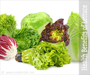Lettuce: Nutritive Value, Health Benefits, Recipes