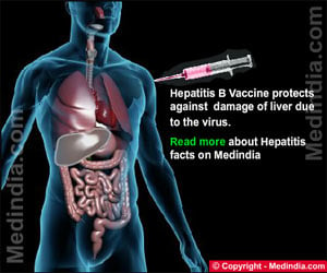 Hepatitis B-Causes-Symptoms-Diagnosis-Treatment-Vaccination-FAQs