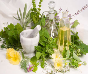 Herbs and Anti-oxidants that Fight Cancer