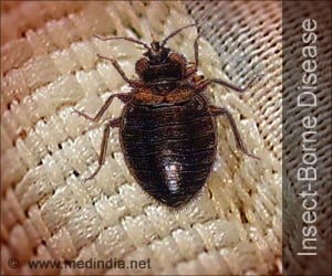 Vector-Borne Diseases | Insect-Borne Diseases | Bug-Borne Diseases