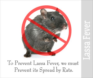 Lassa Fever | Lassa Hemorrhagic Fever - Causes, Symtptoms, Diagnosis, Treatment, Health Tips