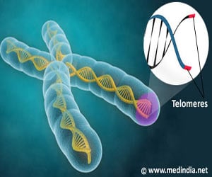 Telomere Shortening And Ageing