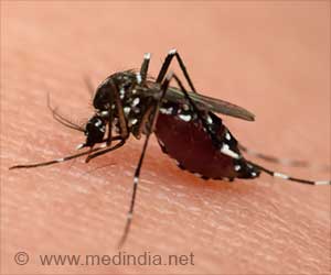 Zika Virus Alert: Rising Cases in India