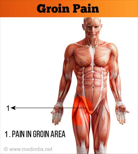 groin area in men