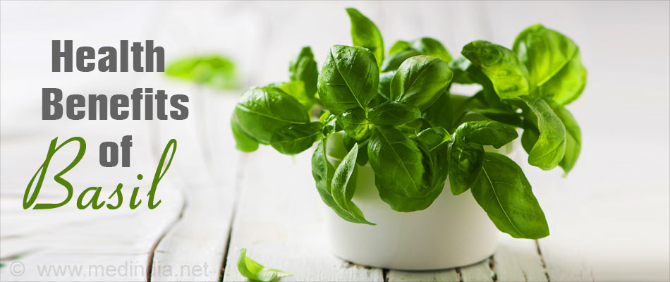 Top 7 Health Benefits of Basil