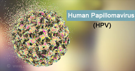 Human papillomavirus hpv treatment