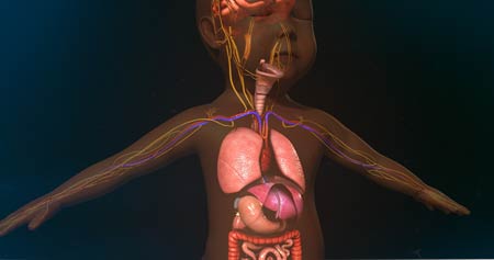 Niemann-Pick disease type C: Video & Anatomy