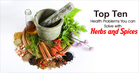 10 powerful herbs and spices  Medical herbs, Herbs for health, Food health  benefits