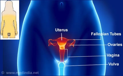 Vulvar Cancer - Symptoms - Diagnosis - Treatment - FAQs