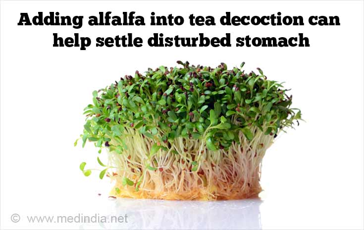 Adding Alfalfa into Tea Decoction can Help Settle Disturbed Stomach
