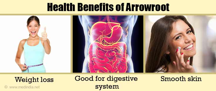 Arrowroot Benefits Arrowroot Benefits