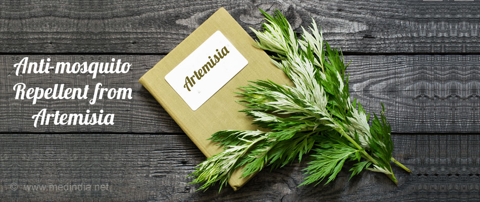 Artemisia as Mosquito Repellent Artemisia as Mosquito Repellent