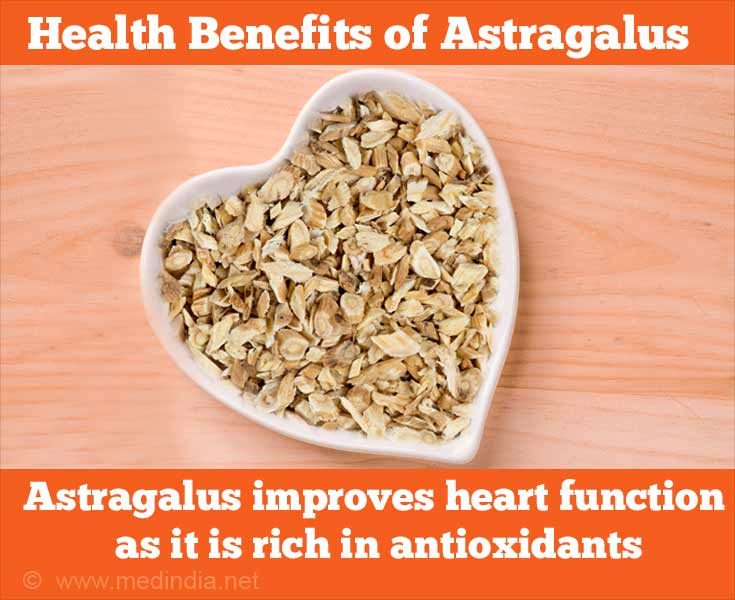 Health Benefits of Astragalus An Ancient Root