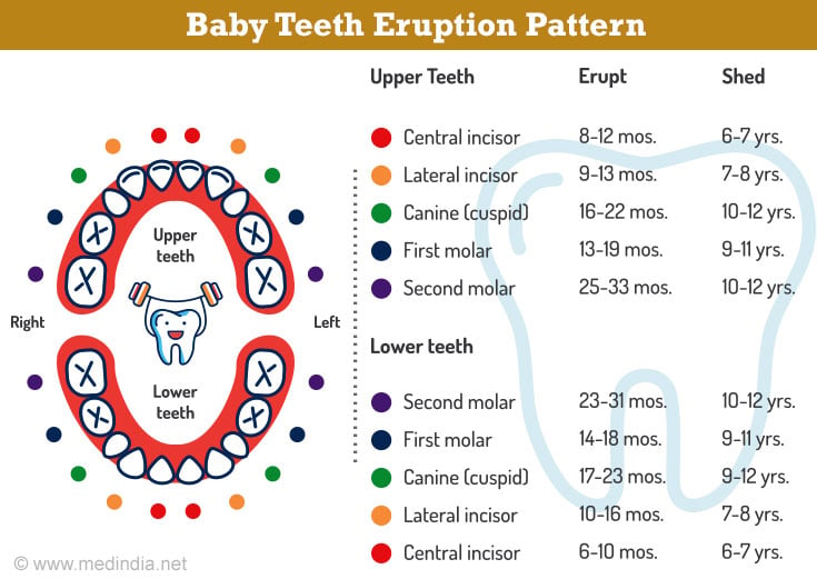 Teething Truths: A Parent's Guide to Soothing Baby's First Teeth