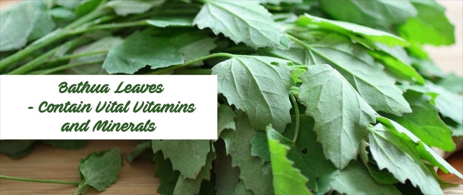 Benefits of Chawli Leaves, Amaranth Leaves