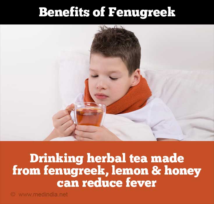 Benefits of Fenugreek Benefits of Fenugreek