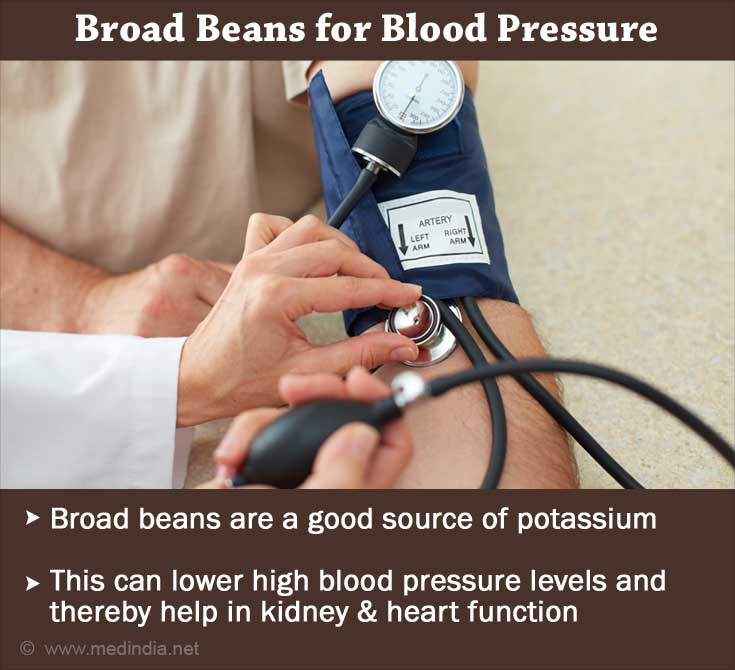 Broad Beans for Blood Pressure Broad Beans for Blood Pressure