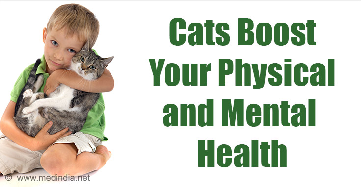 Cat Lovers Reside Happier, More healthy Lives Cat Lovers Reside Happier, More healthy Lives