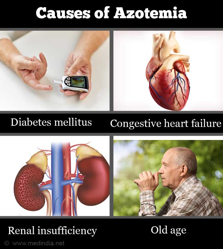 azotemia