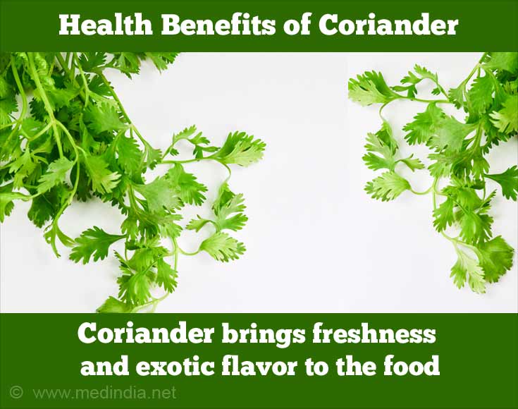 Coriander Brings Freshness And Exotic Flavor To The Food Coriander Brings Freshness And Exotic Flavor To The Food