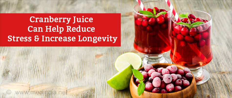 Cranberry Juice Can Help Reduce Stress & Increase Longevity Cranberry Juice Can Help Reduce Stress & Increase Longevity