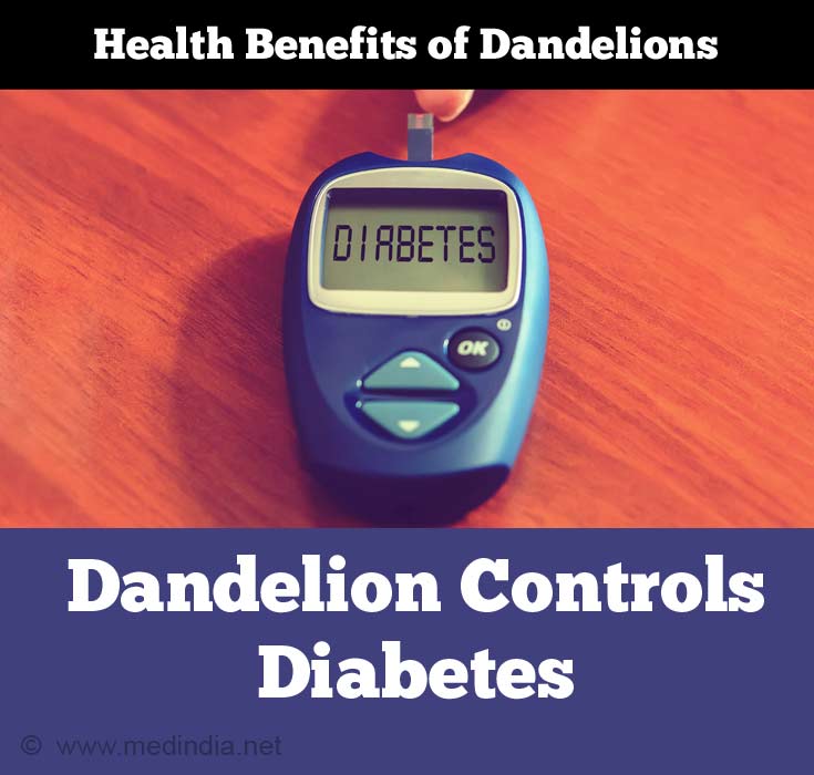 Dandelion for Diabetes Dandelion for Diabetes