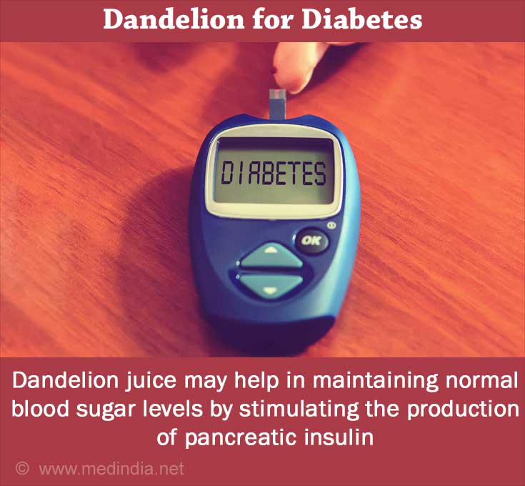 Dandelion for Diabetes
